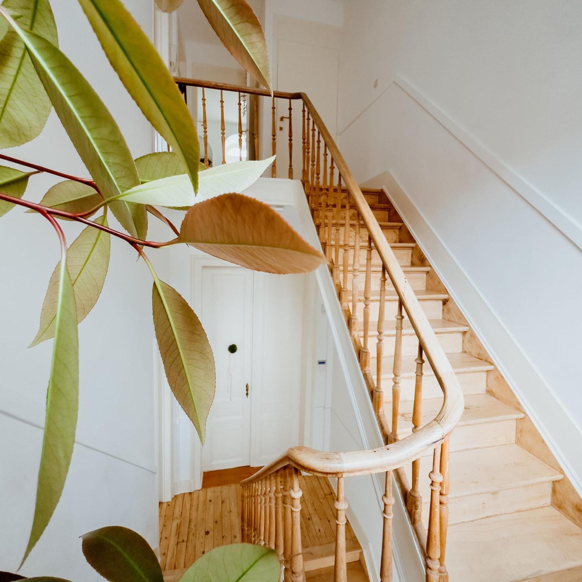 Ambiorix Residence Bruxelles Esterno foto